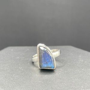 Natural Labordorite Fancy Cut Sterling Silver Ring (Size 8)